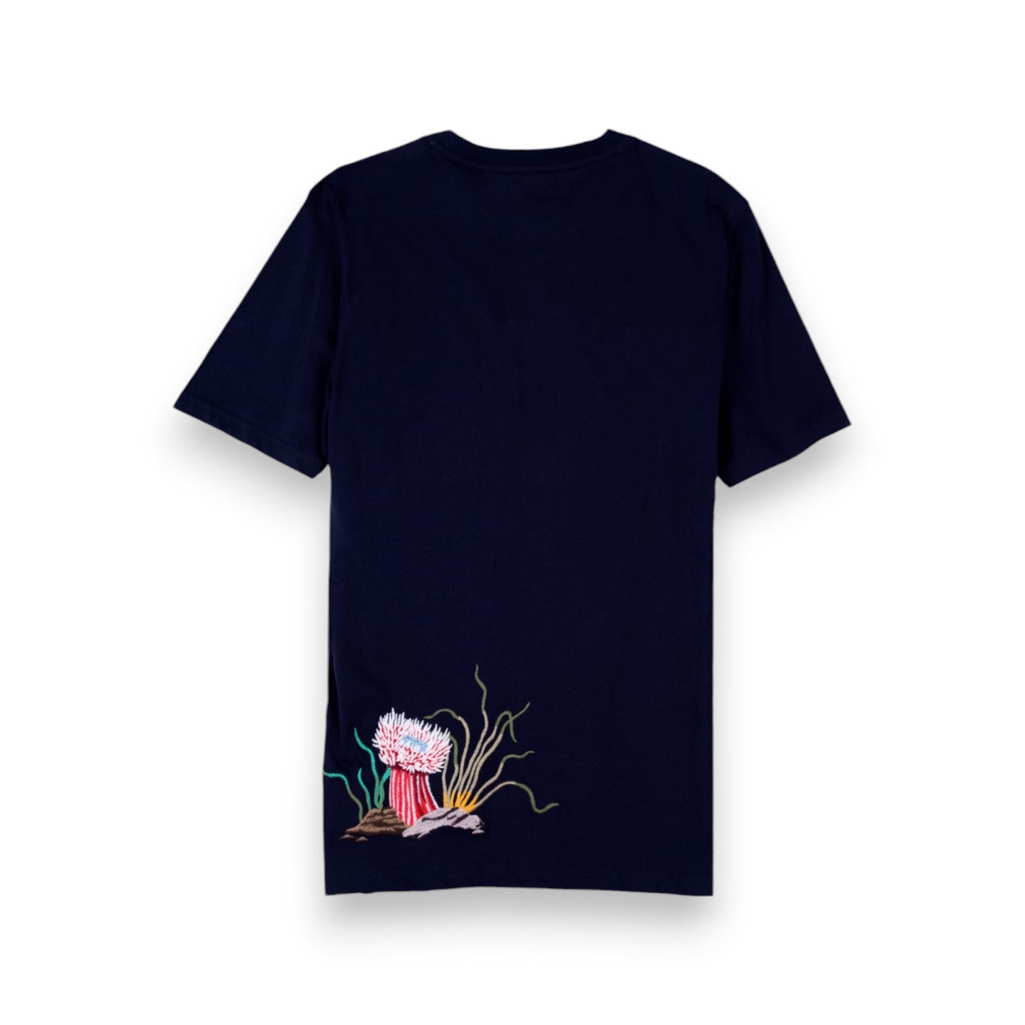 T Shirt Scotch & Soda